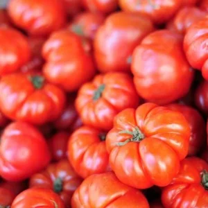 Beefsteak Tomato Live Plant, Indeterminate, 6-8 Inches Tall, 4-Inch Pot, Outdoor - Image 2