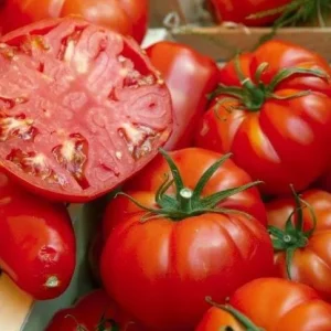 Beefsteak Tomato Live Plant, Indeterminate, 6-8 Inches Tall, 4-Inch Pot, Outdoor - Image 4