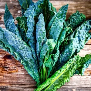 Black Magic Kale Seeds - 300 Count | Lacinato, Cold-Hardy Leafy Greens - Image 4