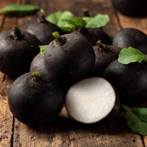 Black Spanish Round Radish Seeds - Heirloom Winter Crop, 250 Seeds - Image 4