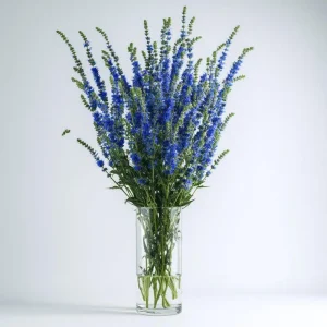 Blue Hyssop Seeds - Hyssopus officinalis - 250 Seed Packet - Outdoor Pollinator Herb - Image 4