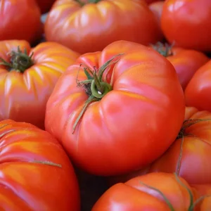 Brandywine Red Tomato Seeds - Heirloom Beefsteak (30 Seeds) for Garden - Image 1