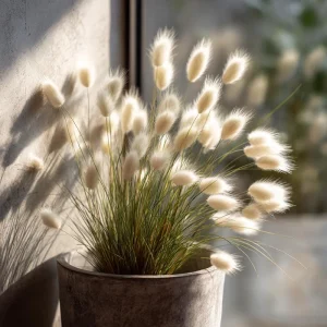 Bunny Tails Grass Seeds - Heirloom Ornamental Ornamental Grass, 50 Seeds, Outdoor - Image 7