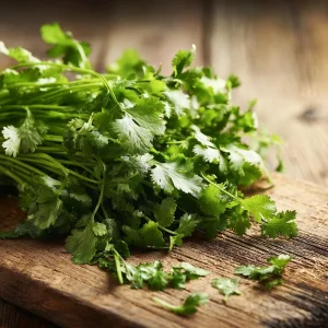 Cilantro Seeds - Bolt-Resistant Herb Seeds - 70 Count Packet for Leaves & Coriander - Image 4