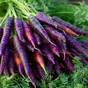 Cosmic Purple Carrot Seeds - Heirloom Vegetable Seeds, Sweet & Tender, 150 Seeds - Image 1