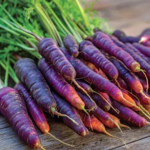 Cosmic Purple Carrot Seeds - Heirloom Vegetable Seeds, Sweet & Tender, 150 Seeds - Image 2