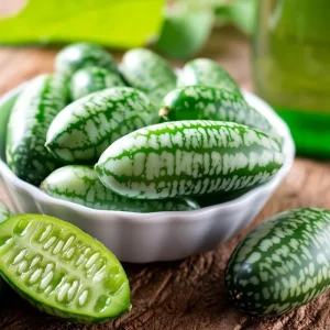 Cucamelon Mouse Melon Seeds - 10 Seed Packet for Unique Mini Cucumber-Like Fruits, Outdoor - Image 3