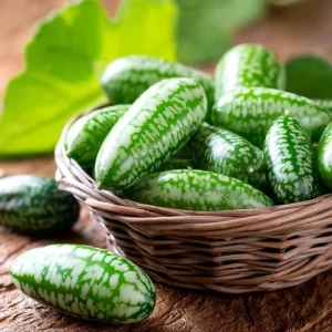 Cucamelon Mouse Melon Seeds - 10 Seeds - Unique Mini Cucumber-Like Fruits for Gardens & Containers - Image 5
