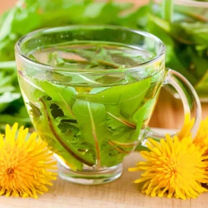 Dandelion Seeds - 50 Count Edible & Medicinal Herb Seeds - Image 1