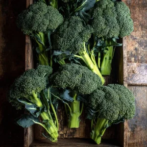 Di Cicco Broccoli Seeds - 200 Heirloom Italian Variety, Easy-to-Grow - Image 4