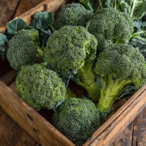Di Cicco Broccoli Seeds - 200 Heirloom Italian Variety, Easy-to-Grow - Image 1