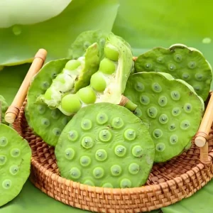 Edible Lotus Seeds Mix – 5 Aquatic Plant Seeds for Ponds & Gardens - Image 6