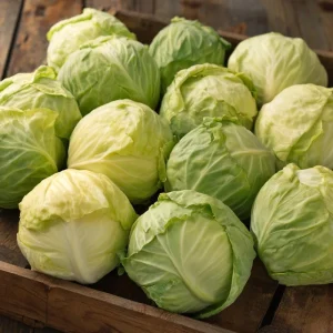 Golden Acre Cabbage Seeds - 200 Heirloom Seeds, Early Maturing, Sweet & Crisp - Image 1