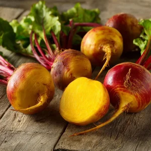 Golden Detroit Beet Seeds - Heirloom Yellow Beets, Easy to Grow, 150 Seeds - Image 3