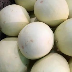 Green Flesh Honeydew Melon Seeds - Sweet, Juicy Melons for Garden & Container - 20 Seeds - Image 2
