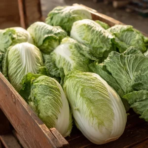Heirloom Napa Cabbage Seeds - 100 Chinese Cabbage Seeds, Easy to Grow, Outdoor Vegetable - Image 1
