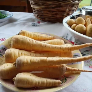 Heirloom Parsnip Seeds - Sweet Root Vegetables, 200 Count for Garden - Image 2