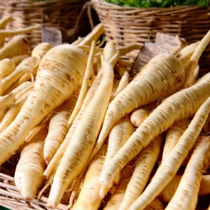 Heirloom Parsnip Seeds - Sweet Root Vegetables, 200 Count for Garden - Image 1