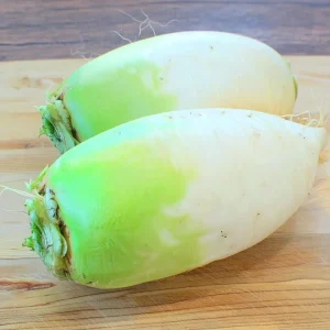 Korean Radish Seeds - Cheong Du Hybrid Kimchi Radishes, 30 Seeds for Garden - Image 3