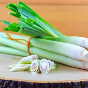 Lemon Grass Live Plants - 2 Per Pot, 10" Tall, 4" Pot, Fresh Herb - Image 1