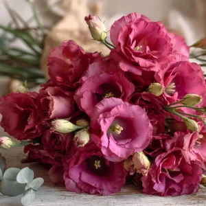 Lisianthus Seeds - Arena III Red F1 Eustoma Grandiflorum - 25 Rich Berry Rose Seeds - Image 5