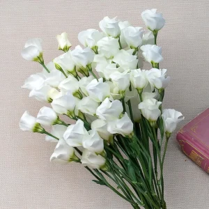 Lisianthus Seeds - Solo White F1 Pure White Blooms - 25 Seeds for Gardens - Image 1