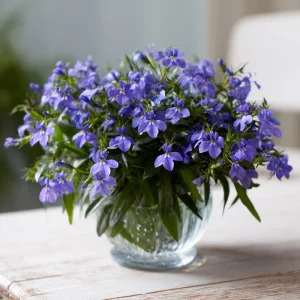 Lobelia Crystal Palace Seeds - Violet-Blue Edging Flowers - 50 Seed Pack - Image 4