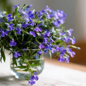 Lobelia Crystal Palace Seeds - Violet-Blue Edging Flowers - 50 Seed Pack - Image 6