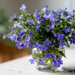 Lobelia Crystal Palace Seeds - Violet-Blue Edging Flowers - 50 Seed Pack - Image 7