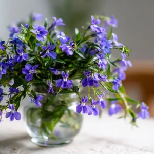 Lobelia Crystal Palace Seeds - Violet-Blue Edging Flowers - 50 Seed Pack - Image 1