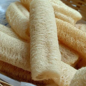 Luffa Gourd Seeds - Heirloom Edible Sponge Gourd (15 Seeds) - Grow Your Own - Image 3