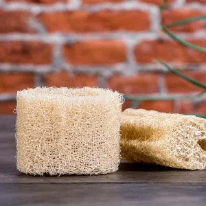 Luffa Gourd Seeds - Heirloom Edible Sponge Gourd (15 Seeds) - Grow Your Own - Image 4