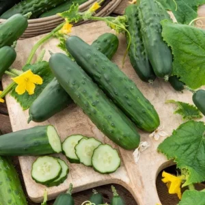 Marketmore Cucumber Live Plant - Heirloom Vegetable, 4-6