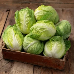 Mini Napa Cabbage Seeds - Compact Chinese Cabbage for Containers - 50 Seeds - Image 1