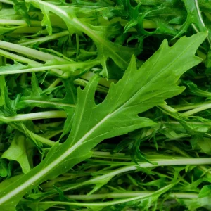 Mizuna Mustard Greens Seeds - Heirloom 250 Seeds - Fast-Growing Leafy Greens - Image 2