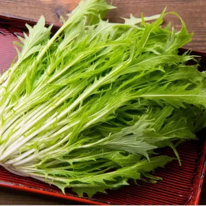 Mizuna Mustard Greens Seeds - Heirloom 250 Seeds - Fast-Growing Leafy Greens - Image 1