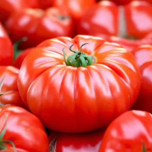Mortgage Lifter Tomato Seeds - Heirloom Large Beefsteak - 30 Seeds - Outdoor - Image 1