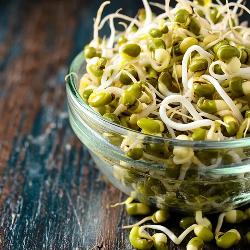 Mung Bean Sprouting Seeds - 500 Seeds - Easy-to-Grow Nutritious Sprouts - Image 3
