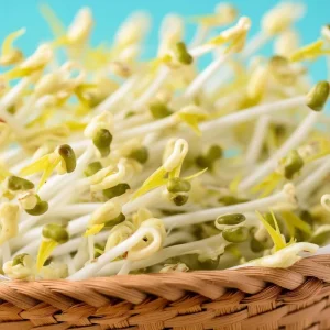 Mung Bean Sprouting Seeds - 500 Seeds - Easy-to-Grow Nutritious Sprouts - Image 6