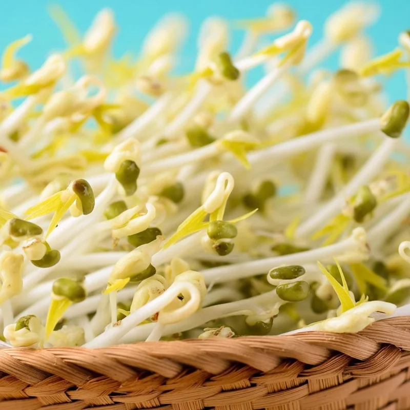 Mung Bean Sprouting Seeds - 500 Seeds - Easy-to-Grow Nutritious Sprouts - Image 6