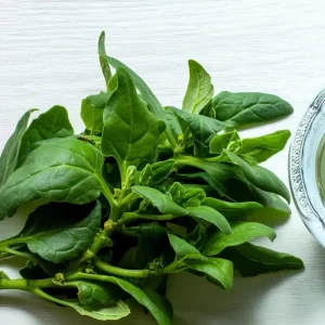 New Zealand Spinach Seeds - 50 Heat-Tolerant, Easy-Grow Vegetable Seeds - Image 1