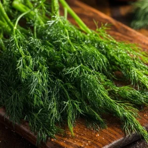 Organic Bouquet Dill Seeds - Anethum graveolens 100 Seeds, Aromatic Culinary Herb - Image 4