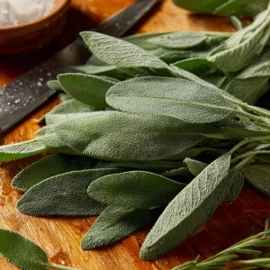 Organic Broadleaf Sage Seeds - 50 Count - Aromatic Culinary Herb, Hardy Perennial - Image 3