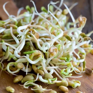 Organic Fenugreek Seeds - Culinary Herb & Microgreens, 250 Seeds - Image 4