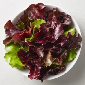 Organic Lollo Rosso Lettuce Seeds – Red Salad Bowl Type – 250 Seed Packet – Outdoor Edible Greens - Image 5