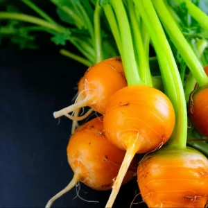 Organic Parisian Carrot Seeds - Heirloom Round (250 Seeds) - Garden Vegetable - Image 3