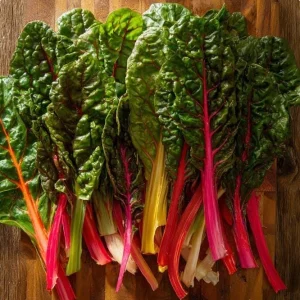 Organic Rainbow Swiss Chard Seeds - Beta Vulgaris - 50 Seeds - Vibrant Multicolored Stems - Nutrient-Rich Edible Veg - Image 1