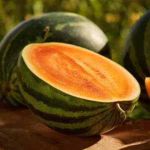 Organic Tendersweet Orange Watermelon Seeds – Heirloom, Juicy, 15 Seeds - Image 3