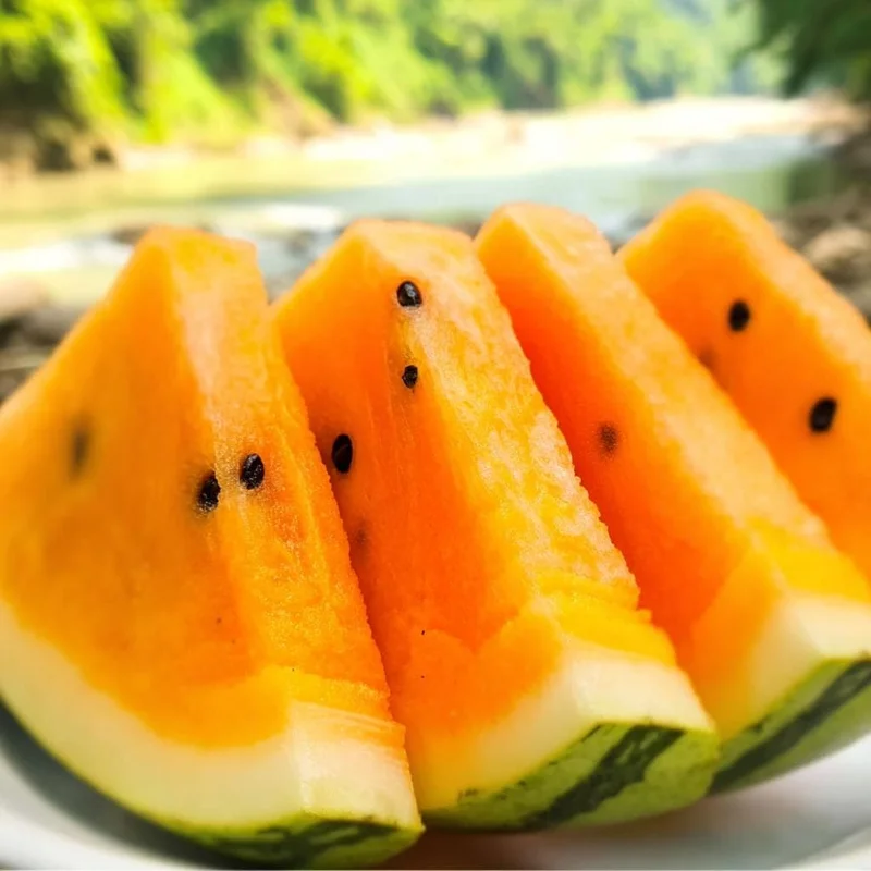 Organic Tendersweet Orange Watermelon Seeds – Heirloom, Juicy, 15 Seeds - Image 1