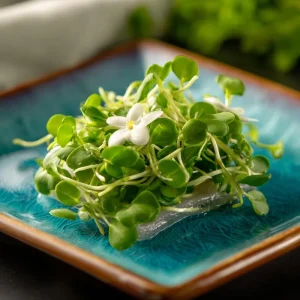 Organic Wasabi Mustard Microgreen Seeds - Brassica juncea - 10g Pack - Spicy Hot Flavor Greens - Image 3